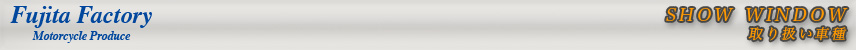 SHOW WINDOW ��舵���Ԏ�
